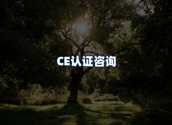CE认证咨询服务场景